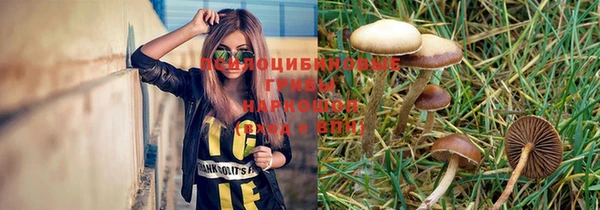 ПСИЛОЦИБИНОВЫЕ ГРИБЫ Балахна