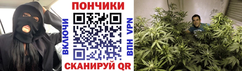 Бошки марихуана Amnesia  Ясногорск 